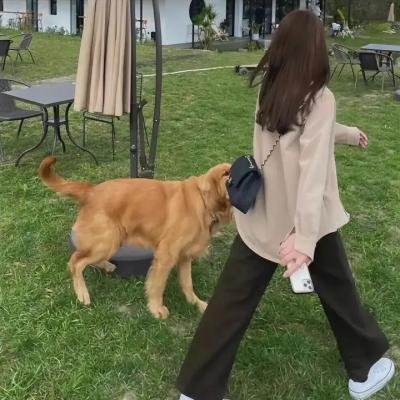 皇家圆舞曲